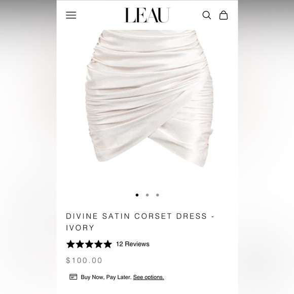 LEAU Divine Satin Corset Dress - Picture 3 of 3